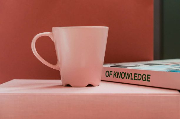 marketing-educativo-conocimiento
