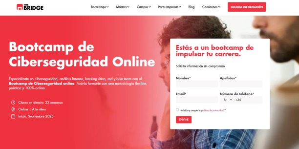 ciberseguridad-the-brigde